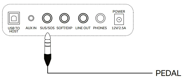 GEWA KEYS GEWA PP-3 Digital Piano - CONNECTING THE PEDAL