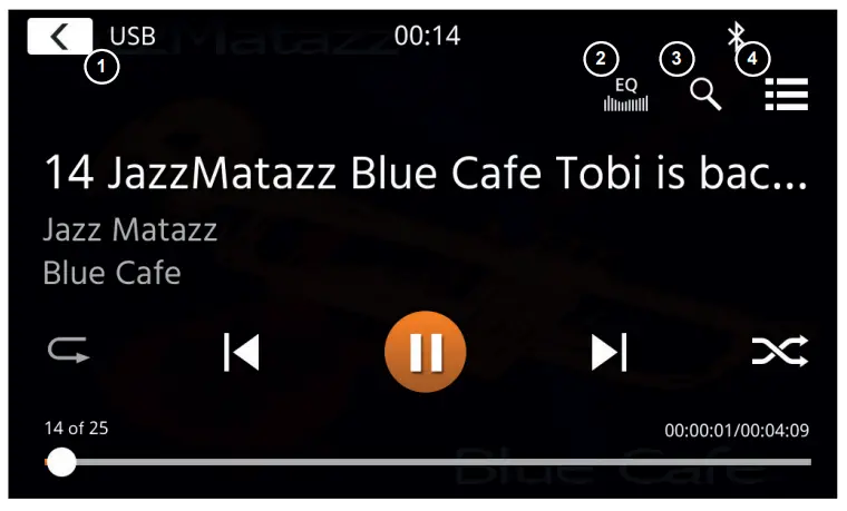 Usb/ipod/bt Music (A/v) Source