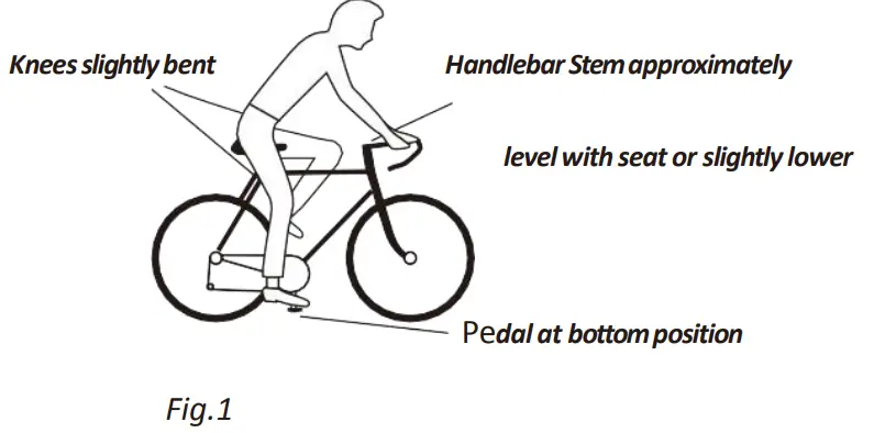 BEZIOR XF800 Mid Motor Electric Bike - fig 2