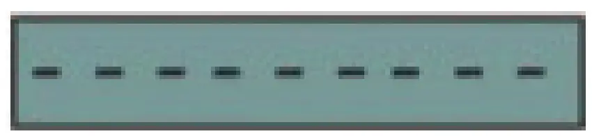 Display view in “Tampering” Mode