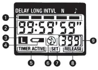 Newell Timer Remote Series Electronic Timer Remotes - Fig 1