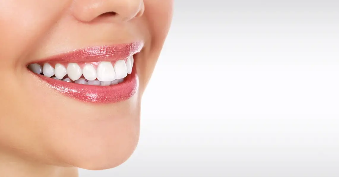 Estetic Ceram Ag 0483 Emf-bonder Instructions