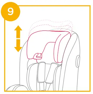 Height Adjustment for Head Support and Shoulder Harnesses