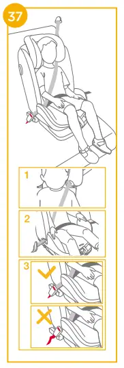 Using in the Junior Mode