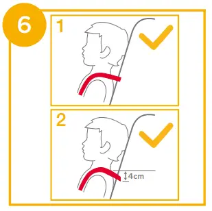 Height Adjustment for Head Support and Shoulder Harnesses