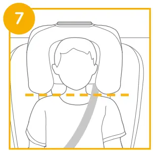Height Adjustment for Head Support and Shoulder Harnesses