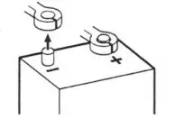 DLS Cruise CRPP VO1.6 2 Component Acoustics - FIG