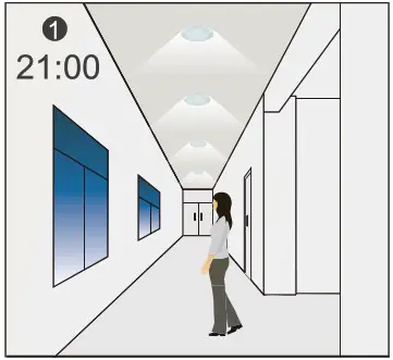Bi level ANT 5 4T Microwave Sensor for High Bay Light - daylight 1