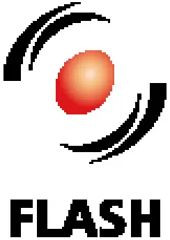 FLASH LOGO