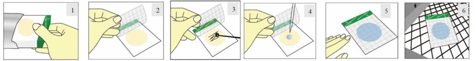 MicroFast-MF1006-Salmonella-Count-Plate-FIG-1 (1)