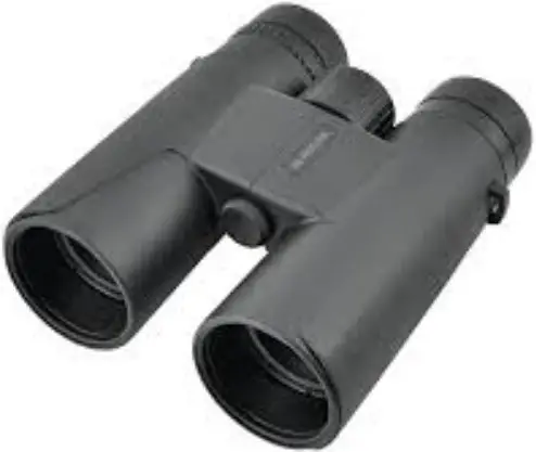 Kodak BCS800 Binoculars