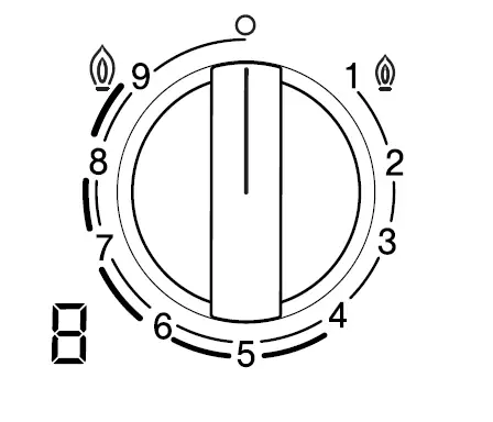 BOSCH-PRA3A6D70I-Built-In-Gas Hob-05