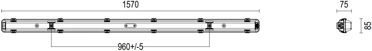 Profile & Dimensions