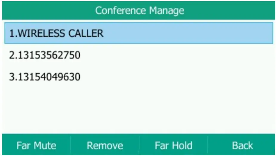 CONFERENCE MANAGEMENT