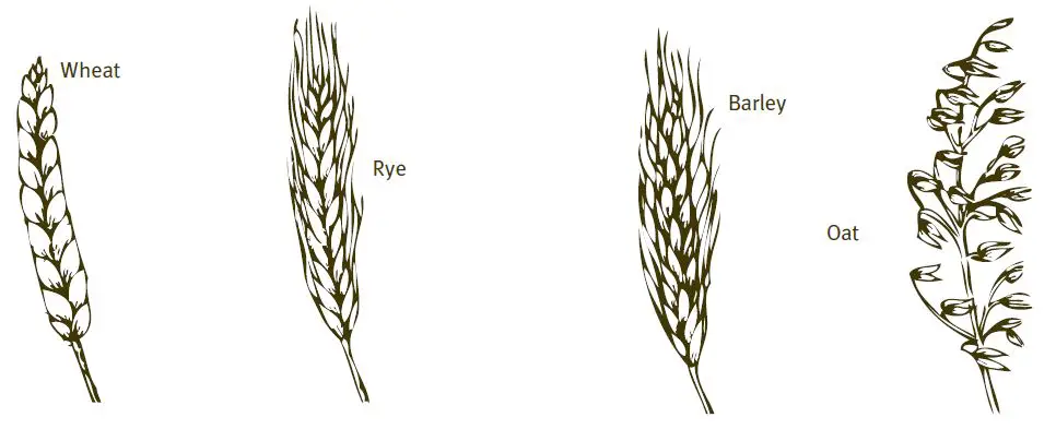 KoMo-Flour-Mills-and-Flakers-FIG-10