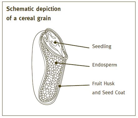 KoMo-Flour-Mills-and-Flakers-FIG-11