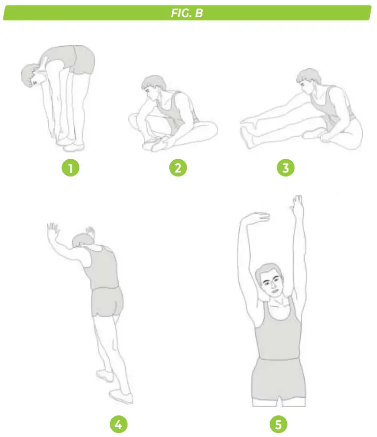 Training Guidelines (Fig. B, 1-5)