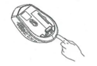 Standivarius Wireless Optical Mouse - mouse