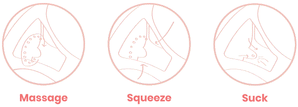 Milkbar-SINGLE-ADVANCED-FLOW-Electric-Breast-Pump-fig-7