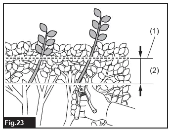 makita-DUH507-Cordless-Hedge-Trimmer-24