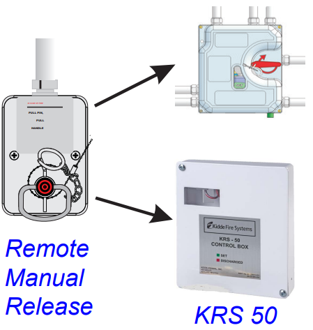 What You Should Do In The Event Of A Fire