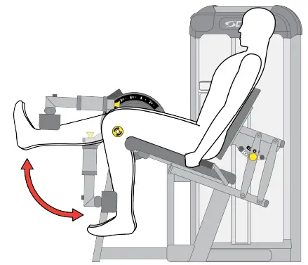 Cybex International 21050-999-4 AD Prestige Leg Extension 19