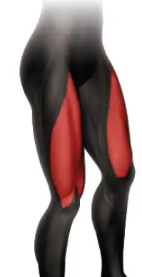 Cybex International 21050-999-4 AD Prestige Leg Extension 20