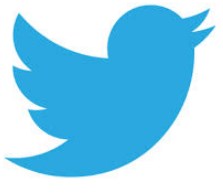 Twitter Icon