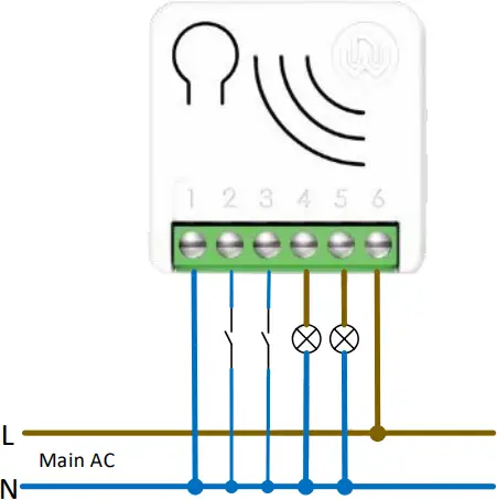 WiDom WDSL700 - Electrical Connections 2