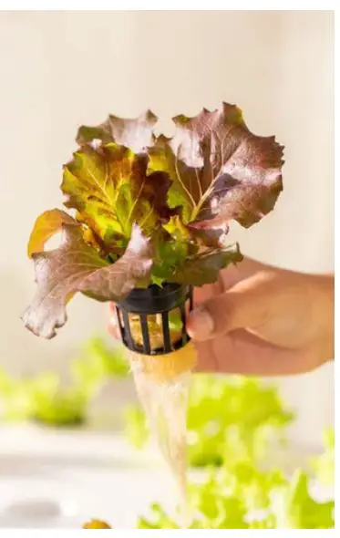 Nutritower-Vertical-Hydroponic-Indoor-Garden-FIG-1