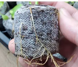 Nutritower-Vertical-Hydroponic-Indoor-Garden-FIG-11