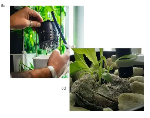 Nutritower-Vertical-Hydroponic-Indoor-Garden-FIG-13