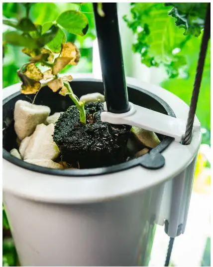 Nutritower-Vertical-Hydroponic-Indoor-Garden-FIG-6