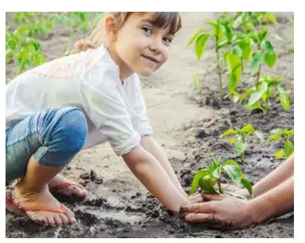 Nutritower-Vertical-Hydroponic-Indoor-Garden-FIG-7