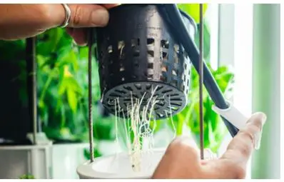 Nutritower-Vertical-Hydroponic-Indoor-Garden-FIG-8