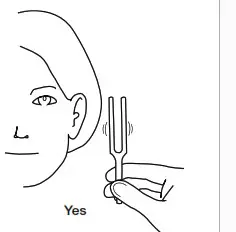 ADC 3693 Reflex Hammer - Operation 3