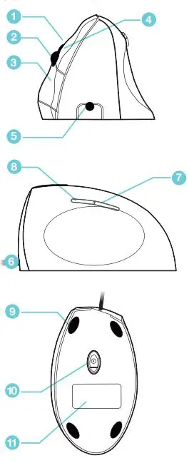 URBAN-factory-ERGO-Next-Souris-Ergonomique-Vertical-Mouse (5)