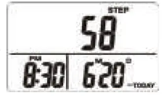 Ozeri-PD4X3Y-4x3motion-Digital-Pocket-3D-Pedometer-5