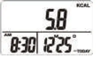 Ozeri-PD4X3Y-4x3motion-Digital-Pocket-3D-Pedometer-6