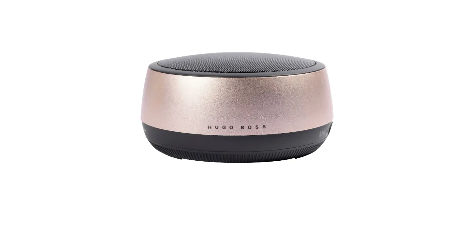 Hugo Boss Fhae208 Speaker Instructions