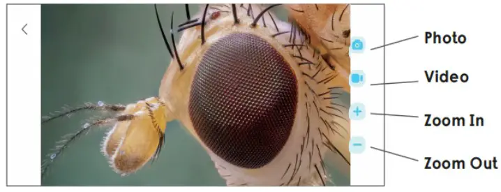 KMDES WTM W1 B USB Digital Electron Microscope - Detailed Operation 5