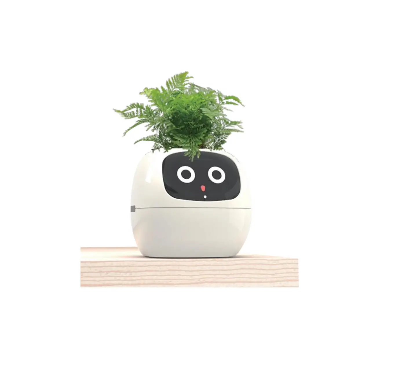 Plantsio Ivy Smart Planter User Guide