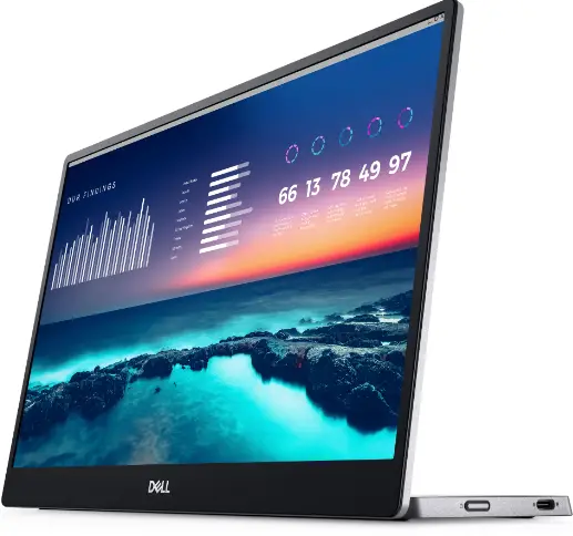 DELL-P1424H-LCD-Monitor-product