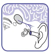 Braun-IRT6520-ThermoScan-Ear-Thermometer-FIG- (5)
