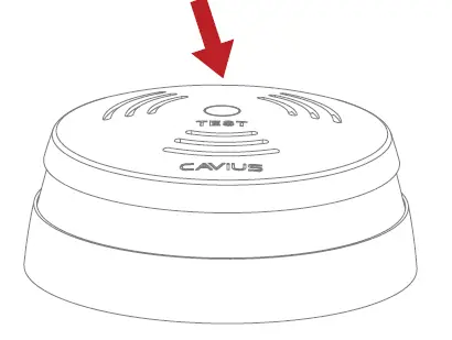 Stewart-FILMSCREEN-STI-1-Wall-Plate-03