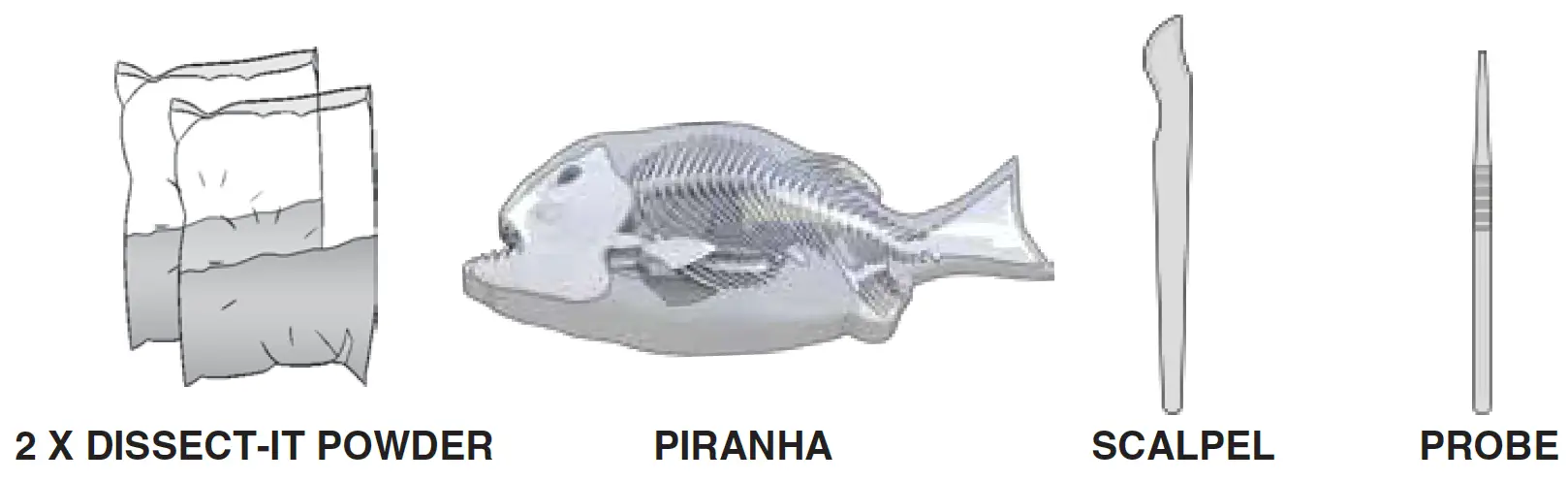 Silverlit PIRANHA Dissect IT Synthetic Dissection Kit 1