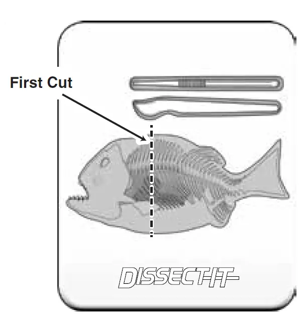 Silverlit PIRANHA Dissect IT Synthetic Dissection Kit 3