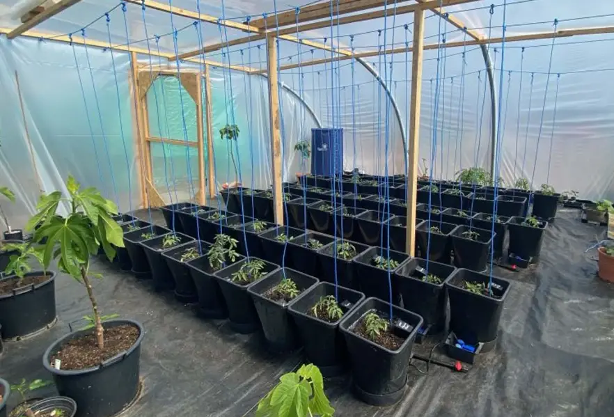 Aqua Geopot 36 System Autopot Watering Owner's Manual