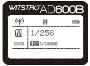 Godox 705 X2 TTL Wireless Flash Trigger - Trigger 10