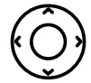 Button Icon
